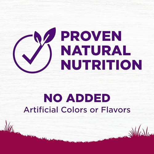 Wellness Complete Health Small Breed Adult Dry Dog Food with Grains and Real Turkey, Natural Ingredients, Omega Fatty Acids, and Probiotics, Made in USA (12-Pound Bag)”