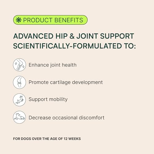 Wuffes Advanced Dog Hip and Joint Supplement with Glucosamine, Chondroitin, Omega 3, MSM, and Green Lipped Mussel, 60 Pork Flavored Chews for Small and Medium Dog Breeds