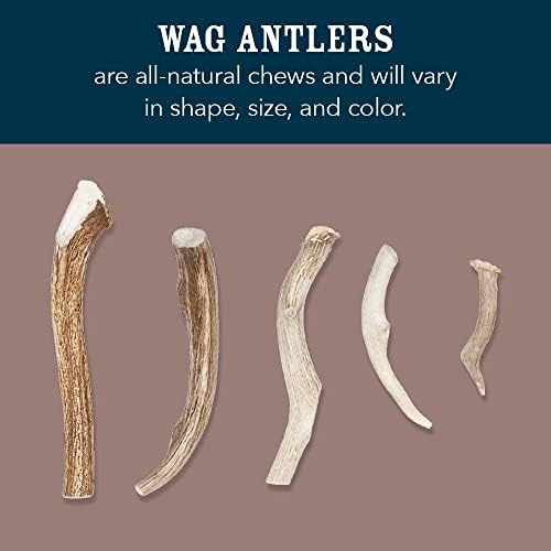 Amazon Brand - Wag Split Elk Antler, Naturally Shed, Long Lasting for Aggressive Chewers, Medium (Best for Dogs 15-30 lbs)