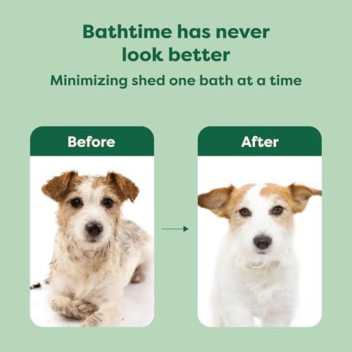 Earth Rated 3-in-1 Deshedding Dog Shampoo and Conditioner, Deodorizing Oatmeal Shampoos for Dogs and Puppies, Great for Smelly Pets, White Tea and Basil Scent, 16 oz