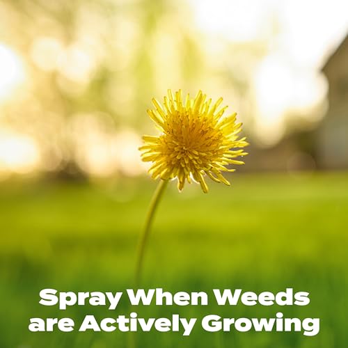 Scotts Liquid Turf Builder with Plus 2 Weed Control, Liquid Weed Killer and Fertilizer, 32 fl. oz.