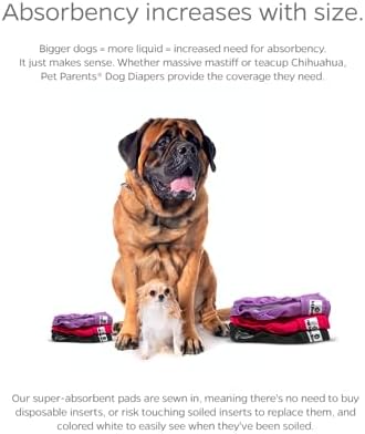 Pet Parents® Washable Dog Diapers (3pack) + Extendrs® of Durable Doggie Diapers, Premium Dog Diapers Female (Medium, Princess)