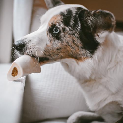 Cadet Stuffed Shin Bones - Highly Digestible, High Protein, Long-Lasting Dog Chew Bone for Aggressive Chewers, Supports Dental Health, - Peanut Butter Flavor, Small (3 Count)