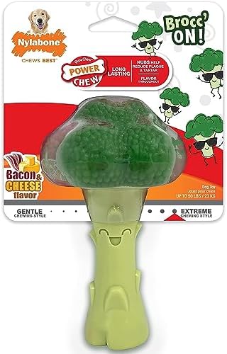 Nylabone Broccoli Power Chew Toy for Dogs, Dog Toys for Aggressive Chewers, Bacon & Cheese Flavor, Large Dogs - Up to 50 lbs, 1 Count