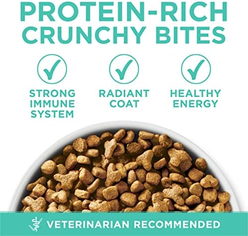 Purina ONE Sensitive Stomach, Sensitive Skin, Natural Dry Cat Food, +Plus Sensitive Skin and Stomach Formula - 16 lb. Bag