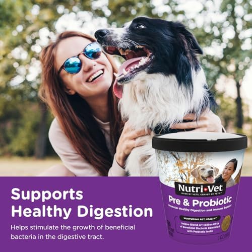 Nutri-Vet Pre & Probiotics for Dogs, Digestive Support, Upset Stomach, Puppy Probiotic, Pet Vitamins and Supplements, Dog Probiotics, Liver & Cheese Flavor, 120 Soft Chews