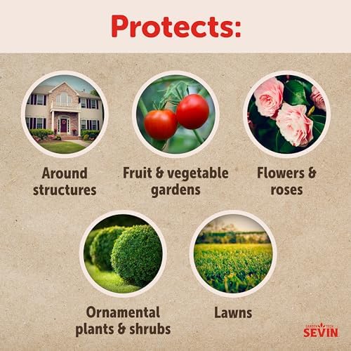 Sevin Insect Killer Dust 3LB