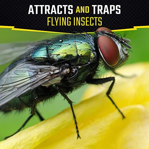 Black Flag Fly Stick, Trap Houseflies and Flying Insects, Pack of 6