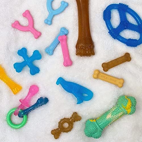 Nylabone Ring Bone Chew Toy for Puppies, Puppy Teething Toys, Puppy Enrichment Toys, Chicken Flavor, Medium Dogs - Up to 35 lbs, 2 Pack