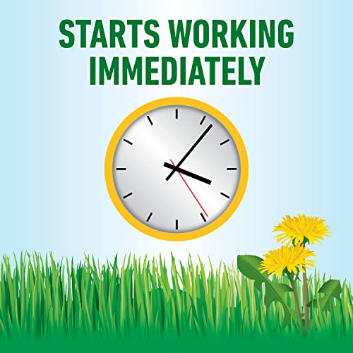Roundup for Lawns₁ Ready-to-Use with Extend Wand, Tough Weed Killer for Use on Northern Grasses, 1.33 gal.