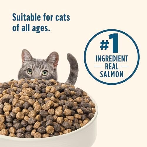 Nutrish Real Salmon & Brown Rice Recipe Dry Cat Food, 14 lb. Bag, Packaging May Vary (Rachael Ray)
