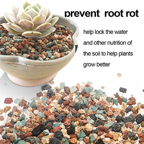 TOYPOPOR Mix Horticultural Lava Rock Pebbles Pumice Potting Soil Amendment Succulent Cactus Bonsai Gritty Rock Decorative Gravel Plant Drainage Volcanic for Terrarium Fairy Gardening Top Dressing 6lb