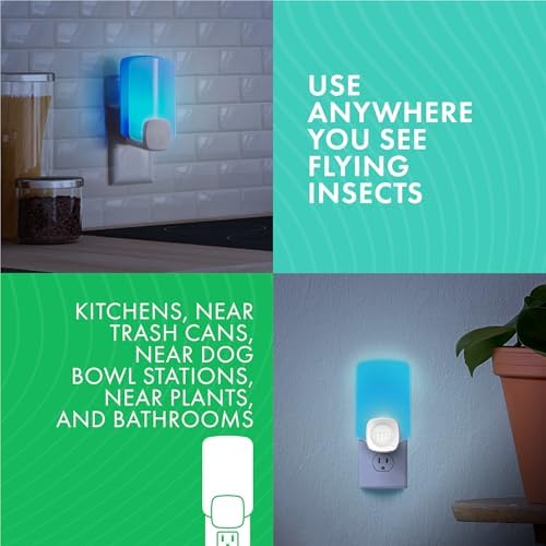 STEM Light Trap Refill Cartridges, Indoor Fruit Fly Trap, Effective Insect Control for Home, Attracts and Traps Flying Insects, Compatible with STEM Light Trap, 4 Count