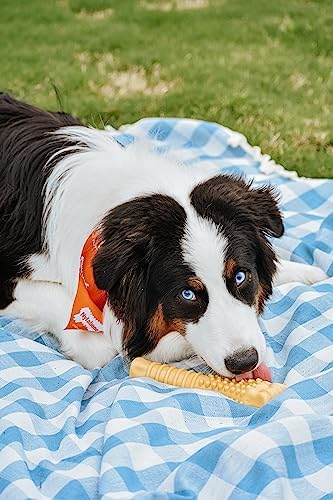 Nylabone Customer Favorites Power Chew Toy Bundle for Dogs, Indestructible Dog Toys for Aggressive Chewers, Pack of 3 Dog Toys, Flavor Medley, Large Dogs - Up to 50 lbs, 3 Pack