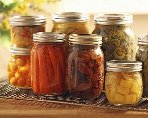 Dalzomยฎ 48Pcs Canning Lids with Rings Regular Mouth, Premium Mason Jar Lids with Bands/Rings for Ball, Kerr Jars - Food Grade Material, 100% Fit & Airtight for Regular Mouth Mason Jars