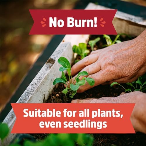 Back to the Roots Organic Worm Castings for Plants, Natural Fertilizer and Soil Enhancer for Gardening, Made in The USA, 5lb