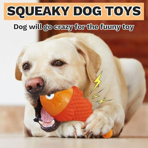 WinTour Indestructible Dog Toys for Aggressive Chewers, Tough Chew Toys for Medium & Large Breeds, Squeaky and Durable Chewers for Large Dogs