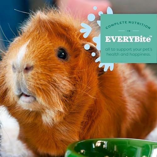 Oxbow Essentials Guinea Pig Food, Adult Guinea Pig, Made with Oxbow Timothy Hay, Pet Food Pellets with Vitamin C, Small Animal Pet Products, Made in USA, High Fiber, 5 lb. bag