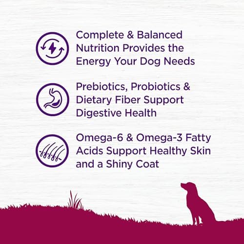 Wellness Complete Health Small Breed Adult Dry Dog Food with Grains and Real Turkey, Natural Ingredients, Omega Fatty Acids, and Probiotics, Made in USA (12-Pound Bag)”