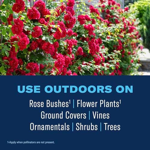 BioAdvanced All-in-One Rose & Flower Plant Care, Concentrate, 32 Ounce, Aphid Spray for Outdoor Plants, Fungicide for Plants