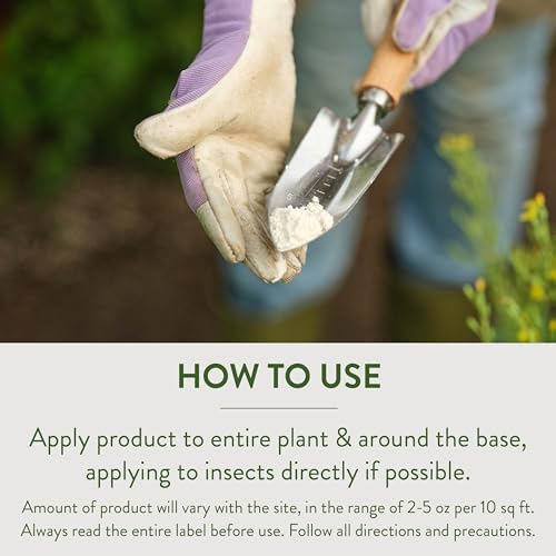 Garden Safe Brand Crawling Insect Killer Containing Diatomaceous Earth, 4 Pounds, Kills Cockroaches, Ants and Other Listed Crawling Insects by Contact, For Use Indoors & Outdoors