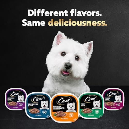 Cesar Filets in Gravy Adult Wet Dog Food, Filet Mignon, New York Strip and Prime Rib Flavors Multipack, 3.5 oz. (24 Count, Pack of 1)