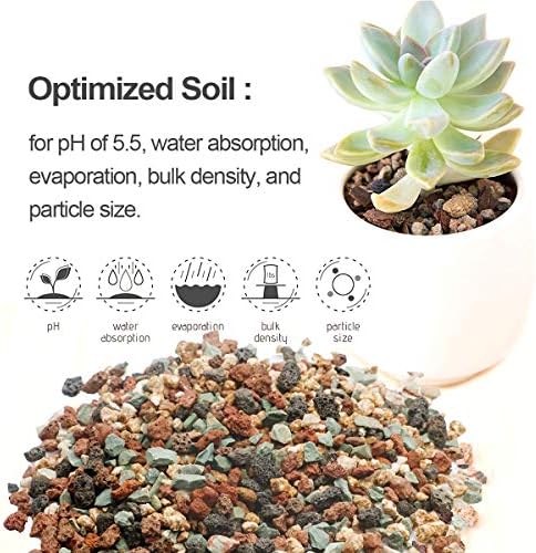 TOYPOPOR Mix Horticultural Lava Rock Pebbles Pumice Potting Soil Amendment Succulent Cactus Bonsai Gritty Rock Decorative Gravel Plant Drainage Volcanic for Terrarium Fairy Gardening Top Dressing 6lb