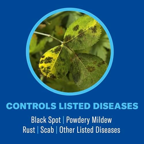 BioAdvanced All-in-One Rose & Flower Plant Care, Concentrate, 32 Ounce, Aphid Spray for Outdoor Plants, Fungicide for Plants