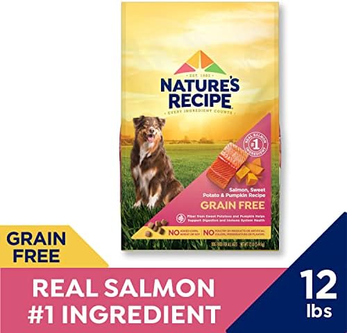 Nature's Recipe Grain Free Dry Dog Food, Salmon, Sweet Potato & Pumpkin Recipe, 12 lb. Bag