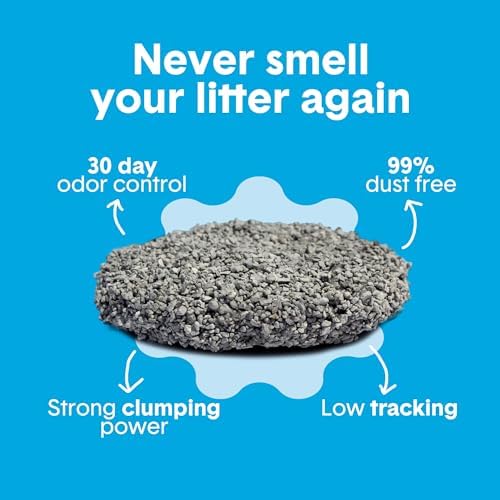 Boxie® Unscented 30 Day Odour Control Clumping Clay Cat & Kitty Litter 16 lb, 99.9% Dust-Free, Hard Flat Top® Clumps, No Fragrances No Fillers, Long-Lasting, Easy to Scoop