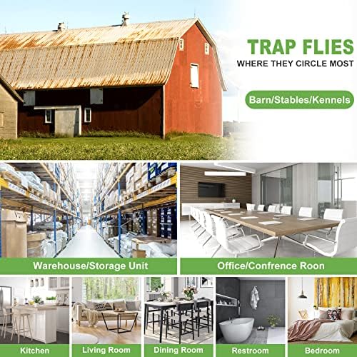 50 Pack Window Fly Trap, Fruit Fly Traps for Indoors, Fly Paper Sticky Strips, Fly Traps for Indoors Clear