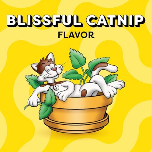 Temptations Classic Crunchy and Soft Cat Treats Blissful Catnip Flavor, 3 oz. Pouch (Pack of 12)