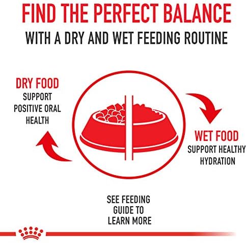 Royal Canin Feline Health Nutrition Indoor Adult Dry Cat Food, 7-Pound