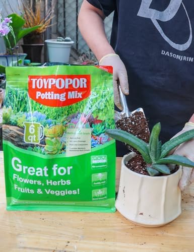 TOYPOPOR Potting Soil for All Indoor Houseplants, (3qt) Contains Perlite, Peat Moss, Coco Coir and Rice Charcoal, Well Draining Potting Mix Light, Aerated Texture for Healthy Plant Roots, Fast Growth