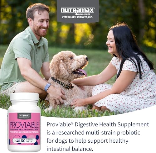 Nutramax Proviable Probiotics for Dogs, Daily Digestive Health Supplement with Multiple Strains of Bacteria, Dog Probiotics Plus Prebiotics, 60 Chewable Tablets