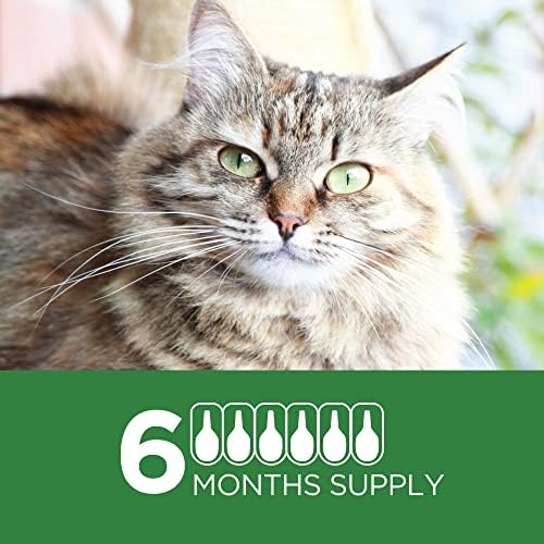 TevraPet Actispot II Flea Treatment for Large Cats 9+ lbs | 6 Doses | Powerful Prevention and Control