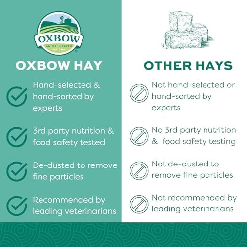 Oxbow Western Timothy Hay for Small Pets – All-Natural Grass Hay for Rabbits, Guinea Pigs, and Chinchillas – High Fiber for Digestive Health and Dental Support – 40 oz Bag