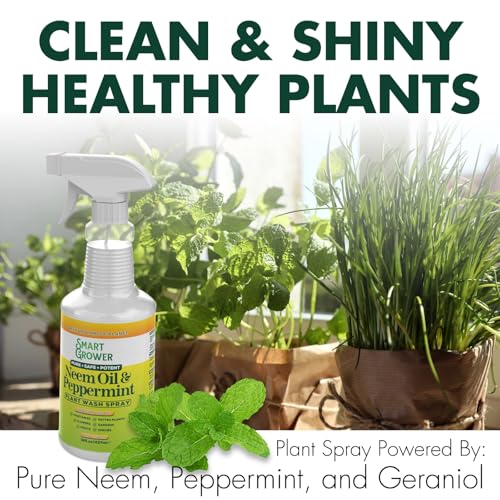 Neem Oil Spray for Plants with Peppermint Oil, Natural Plant Wash Made for Indoor and Outdoor Plants Smart Grower 16oz Easy Ready to Use Spray
