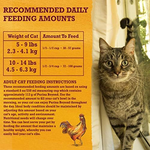 Purina Beyond Grain Free White Meat Chicken and Egg Recipe Natural Cat Food High Protein Cat Food Dry Formula - 5 lb. Bag