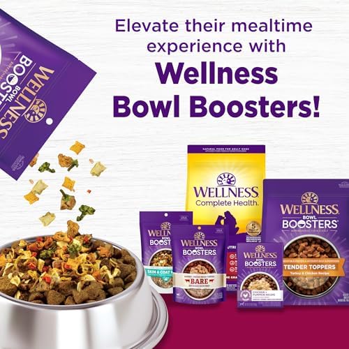 Wellness Complete Health Small Breed Adult Dry Dog Food with Grains and Real Turkey, Natural Ingredients, Omega Fatty Acids, and Probiotics, Made in USA (12-Pound Bag)”