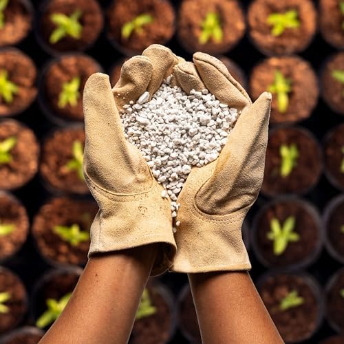 Perlite Bliss (24 Qts) - Organic Perlite for Plants - Coarse Perlite Bulk Soil Amendment - Chunky Perlite for Plants, Potting Soil, Garden Soil, & Coco Coir - Horticultural Perlite for Gardening