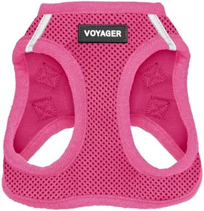 Best Pet Supplies Voyager Step-in Air Dog Harness - All Weather Mesh, Reflective, No Pull Harness for Small, Medium Dogs, Cats - Secure with Hook & Loop Fastener, Buckle, Double D-Rings - Fuchsia, M