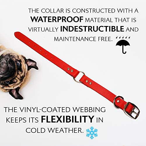 Regal Dog Products Small Red with Custom Engraved Waterproof Dog Collar and Leash Set | Waterproof Dog Collar with D Ring | Center Ring & 5'ft Leash | Matching Dog Collar and Leash for Dogs