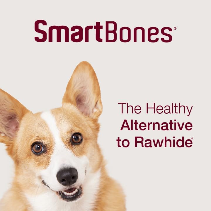 SmartBones Smart Twist Sticks, Rawhide Free Dog Chew Sticks, Made With Real Chicken, 50 Sticks , 9.7 Ounce (Pack of 1)