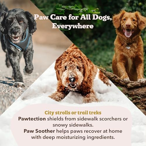 Natural Dog Company Paw Soother Balm & Wax for Dogs, Moisturizing Relief for Dry, Cracked Paws, Lick-Safe, Repairs & Heals, Protects Against Extreme Weather, Coconut Oil & Vitamin E, 2 oz Stick