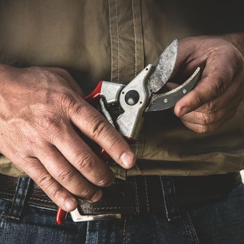 Felco F2 Pruning Shears – 9.25" Swiss-Made Garden Clippers for Professional Pruning | Hand Pruners for Gardening | Garden Tool Cutter with Precision Bypass Blade, Aluminum Body, Replaceable Parts