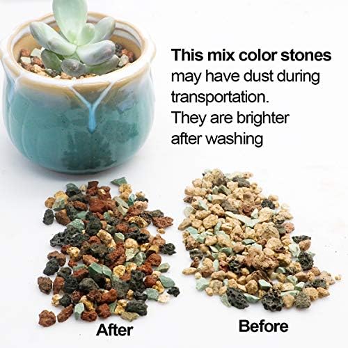 TOYPOPOR Mix Horticultural Lava Rock Pebbles Pumice Potting Soil Amendment Succulent Cactus Bonsai Gritty Rock Decorative Gravel Plant Drainage Volcanic for Terrarium Fairy Gardening Top Dressing 6lb