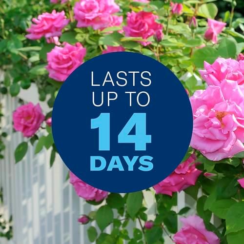 BioAdvanced All-in-One Rose & Flower Plant Care, Concentrate, 32 Ounce, Aphid Spray for Outdoor Plants, Fungicide for Plants