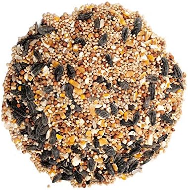 Wagner's 13008 Deluxe Wild Bird Food, 10 lb Bag