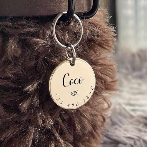 Cats Dogs ID Tags Personalized Lovely Symbols Pets Collar Name Accessories Simple Custom Engraved Supplies for Small Four Legged Child Necklace Chain Anti-Lost Industrial Steel Charm